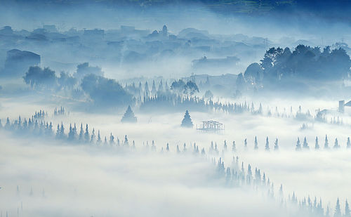 Panoramic shot of trees against sky