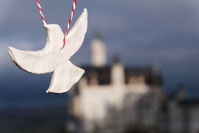 Close-up of white bird flying against sky