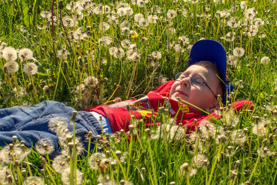 Rear view of person lying on grassy field