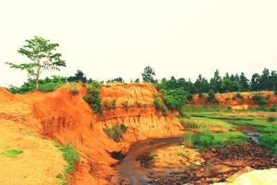 Scenic view of landscape against clear sky