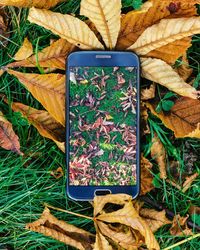 Close-up of mobile phone in grass