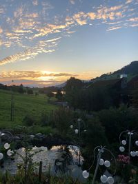 Scenic view of field against sky during sunset