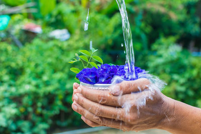 Close-up side view of hands holding flower pot