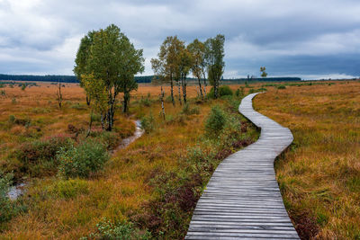 Footpath amidst plants on field against sky