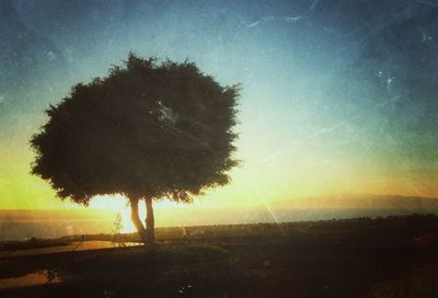 silhouette