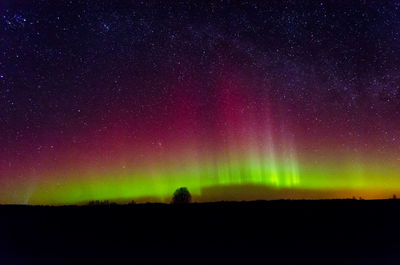  silhouette trees against northern lights at night