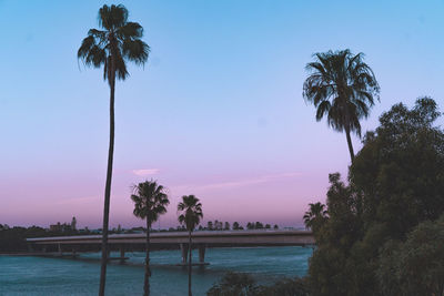 Palm trees by swimming pool against sky during sunset