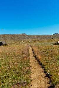 Dirt road amidst field against clear blue sky