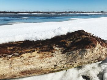 Close-up of shore at beach against sky