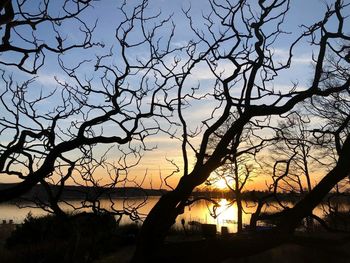 Silhouette bare tree against sky during sunset