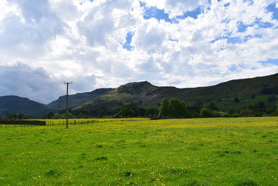 Scenic view of field against sky