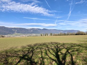 Scenic view of field against sky