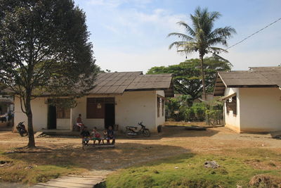 People by palm tree and building against sky