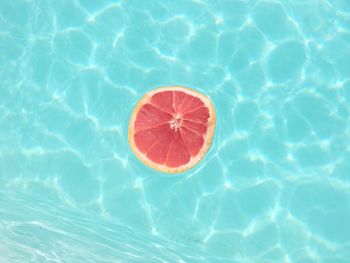 High angle view of fruit floating on swimming pool