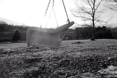 View of trees on landscape
