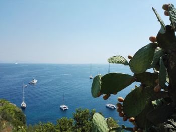 Scenic view of sea against clear sky