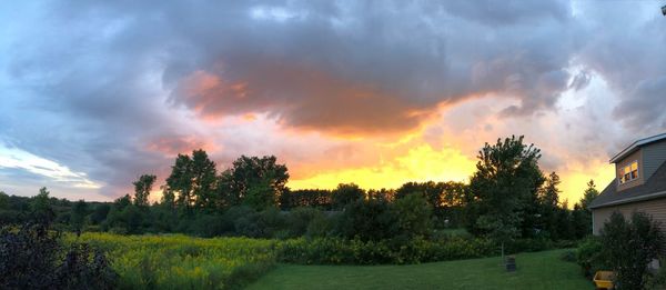 Scenic view of field against sky during sunset