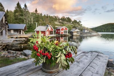 Plants by lake against building