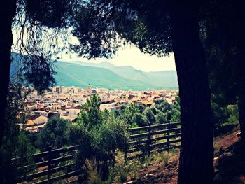 High angle shot of townscape