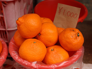 Close-up of oranges