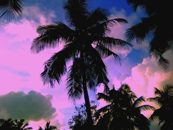 Low angle view of silhouette palm trees against sky during sunset