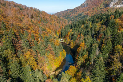 Beautiful landscape with lake and picnic pavilion next to it surrounded by colorful trees in autumn