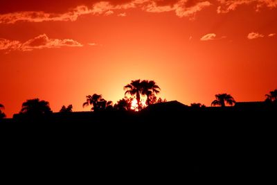 Silhouette trees against orange sky
