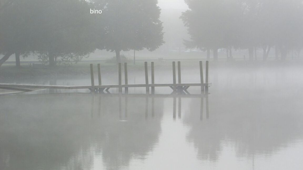 tree, fog, winter, cold temperature, weather, foggy, nature, mist, water, tranquil scene, no people, beauty in nature, tranquility, day, outdoors, snow, reflection, hazy, lake, landscape, scenics, sky