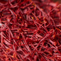 Full frame shot of dried plant