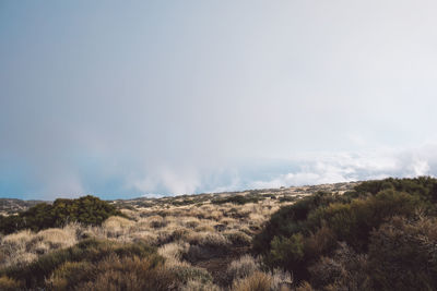 Scenic view of landscape against sky