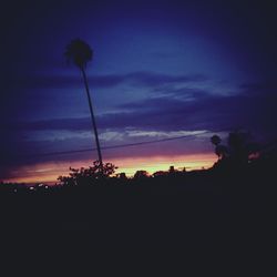 Silhouette palm trees at sunset