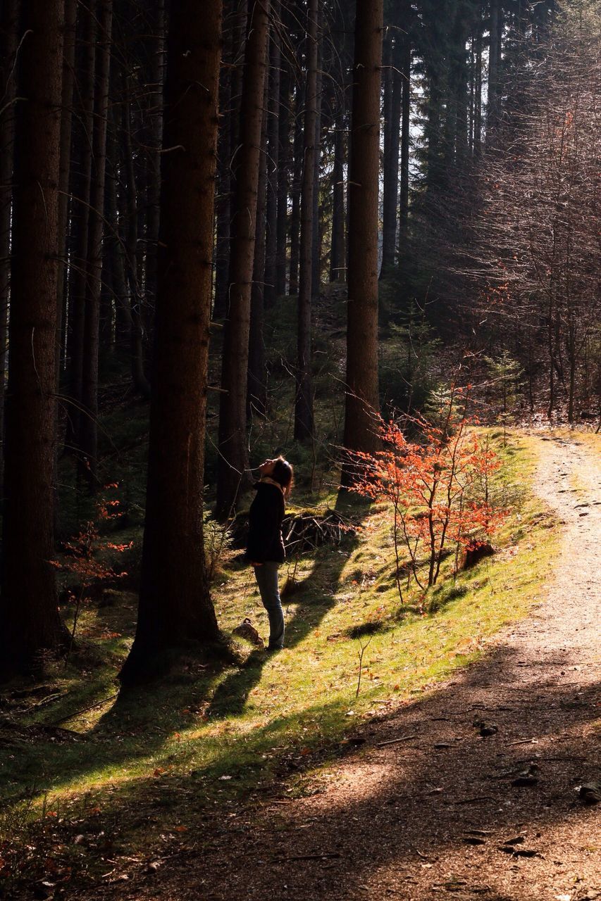 forest, tree, full length, one person, real people, rear view, nature, tree trunk, leisure activity, outdoors, men, forest fire, day, people, only men, one man only, adult