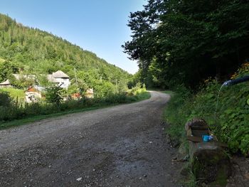 View of road along trees