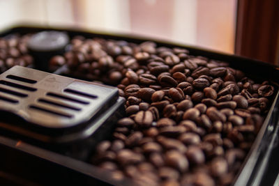 Close-up of roasted coffee beans