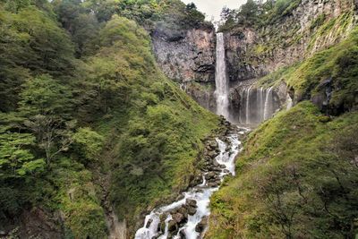 Scenic view of waterfall in forest