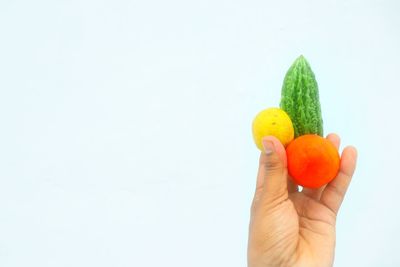 Person holding apple against white background