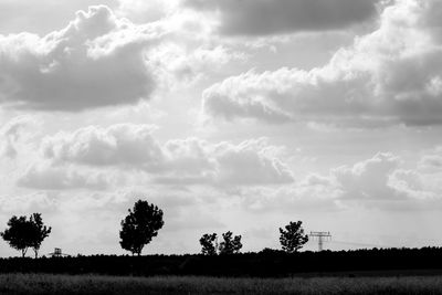 Trees on field against sky