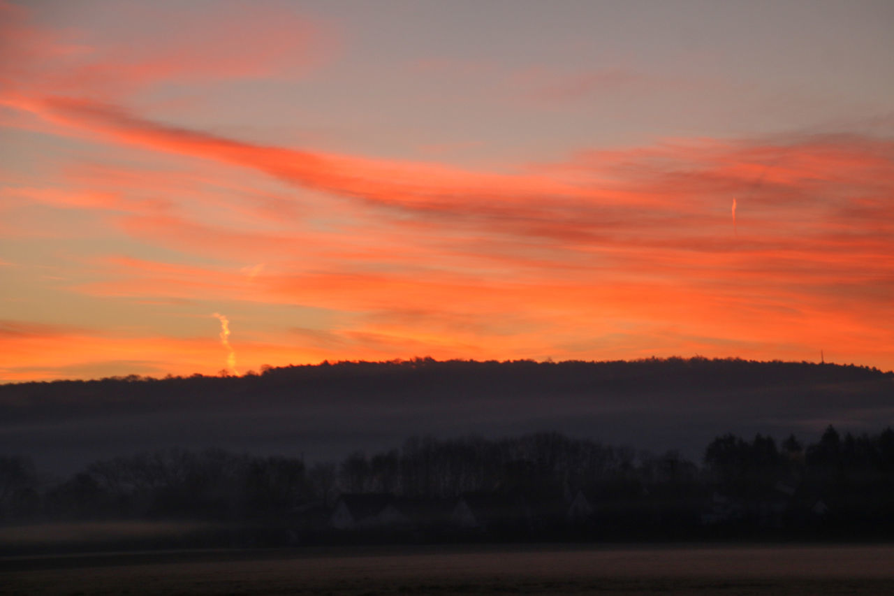 SILHOUETTE TREES ON LANDSCAPE AGAINST ORANGE SKY