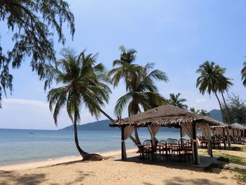 Palm trees and chairs under thatched roofs at beach