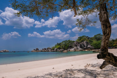 Scenic view of beach against sky