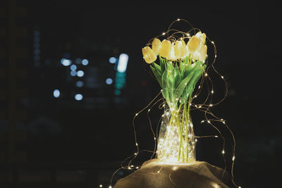 Close-up of illuminated lights on flowers at night