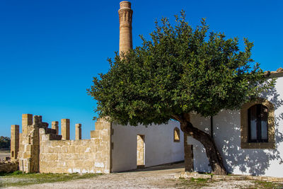 Tree by historic building against clear blue sky