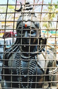 Close-up of bird in cage