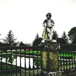 View of trees against clear sky