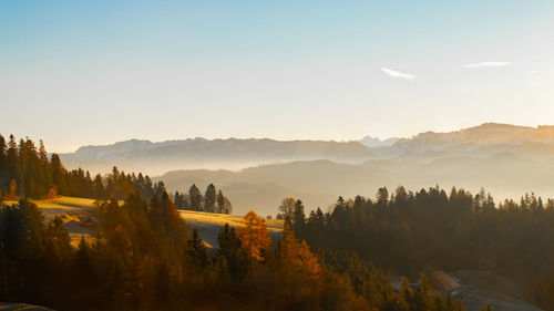 Panoramic view of trees and mountains against sky