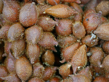 Full frame shot of fruits in market