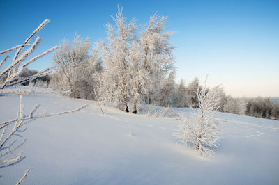 Frosty day on the top of the mountain