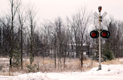 Snow covered landscape