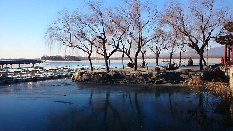 water, tranquility, bare tree, tree, tranquil scene, blue, sea, scenics, clear sky, nature, branch, reflection, sky, beauty in nature, lake, tree trunk, horizon over water, idyllic, calm, day