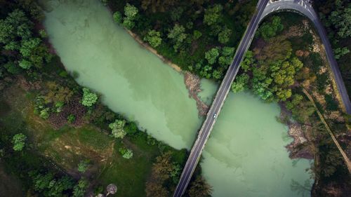 High angle view of river amidst trees